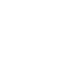 Encharter Insurance, LLC - Logo Icon White
